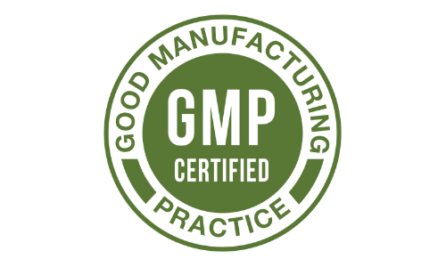 Memocept GMP Certified